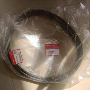 Honda Body Seal, SEAL.GLASS SUNROO 70205T9CD01